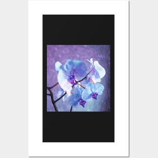 Blue Orchid-Art Prints-Mugs,Cases,Duvets,T Shirts,Stickers,etc Posters and Art